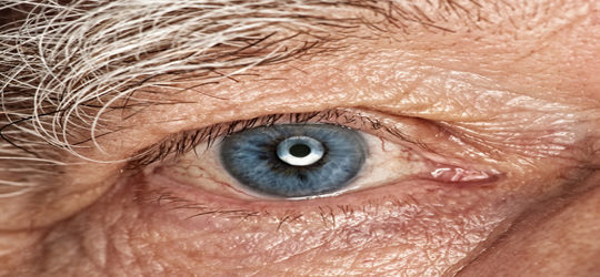 Elderly Vision Loss - Elder Care Resources