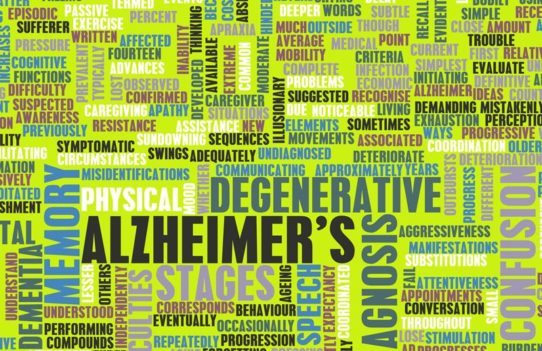 Seven Memory Aids for Persons With Alzheimer