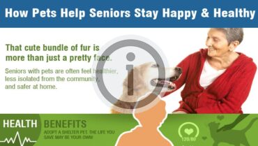 How Pets Keep Seniors Healthier & Happier