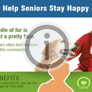 How Pets Keep Seniors Healthier & Happier
